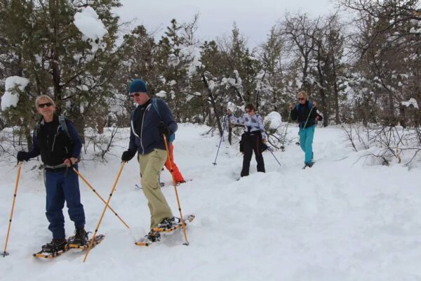 Big Bear Action Zipline